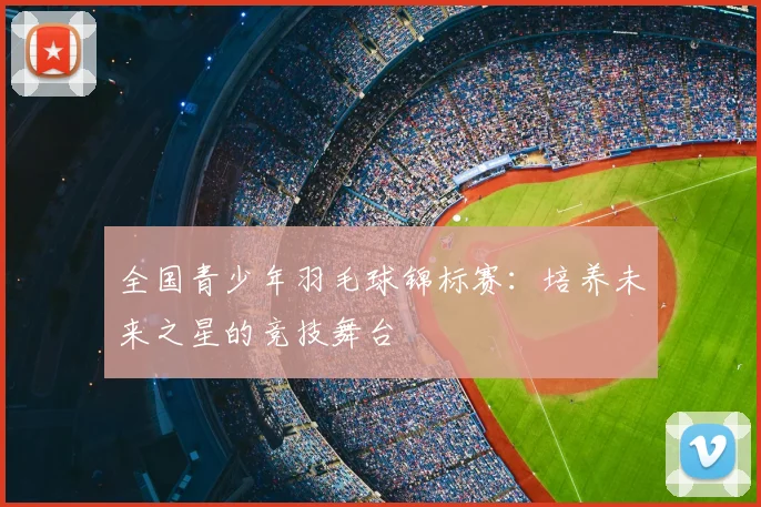 全国青少年羽毛球锦标赛:培养未来之星的竞技舞台