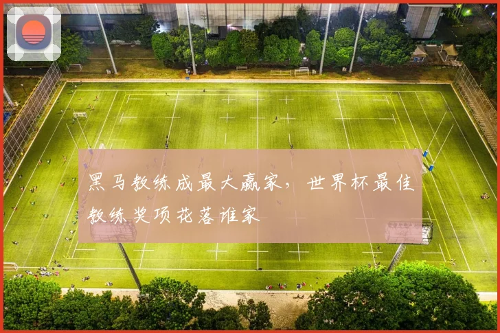 黑马教练成最大赢家，世界杯最佳教练奖项花落谁家